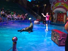 -烟台海昌鲸鲨海洋公园