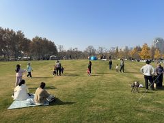 -世纪公园-世纪春沁园