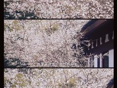 -孙武文化园-停车场