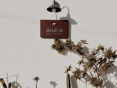 -AHAVA·Fang Baking Studio