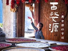 -篁岭景区