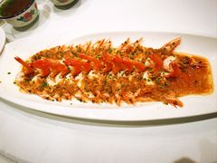 -春天来了(印象新天地店)