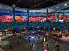 -青岛嘉年华主题乐园