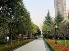 -木塔寺遗址生态公园
