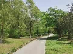 -棋盘山风景区