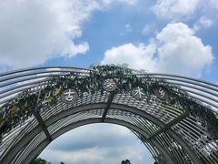 -江门古劳水乡旅游区
