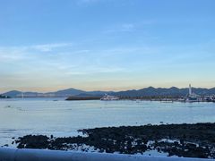 -深圳湾公园(南山区)