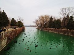 -颐和园