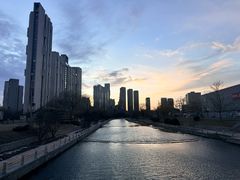 -Dinoo 片场咖啡(酒仙桥店)