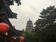 -大唐博相府酒店·陕西官府菜