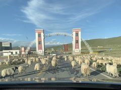 -青海湖国家重点风景名胜区