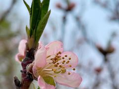 -朝阳公园