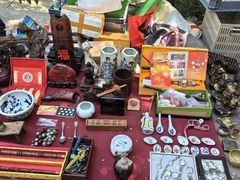 -千里堤花鸟鱼虫市场(天津红桥区店)