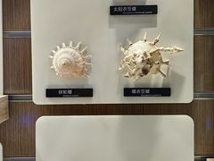 -青岛海底世界-水族馆