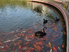 -春晖园度假酒店温泉