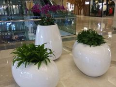 -优衣库(武汉国际广场店)