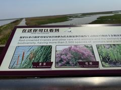 -盐城丹顶鹤湿地生态旅游区