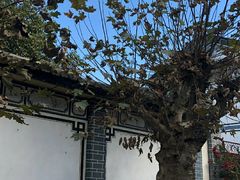 -南诏风情岛