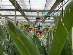 -南宫五洲植物乐园