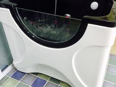 龙城首台纳米磁化牛奶一体浴缸-奶牛家宠物酒店(嘉宏云顶店)