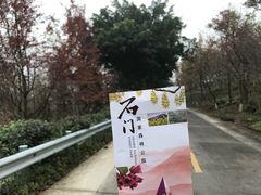-广州市石门国家森林公园