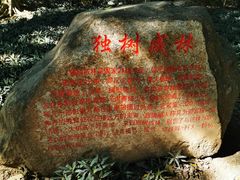 -瑞丽独树成林风景区