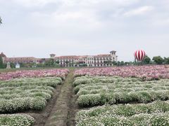 -歌斐颂巧克力小镇