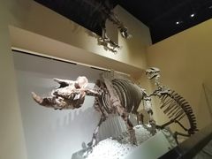 -国家自然博物馆