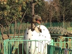 -洛阳郁金香牡丹园