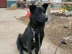 -首开·龙湖成都西宸天街