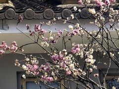 -无锡梅园公园