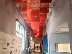 -北京大学赛克勒考古与艺术博物馆
