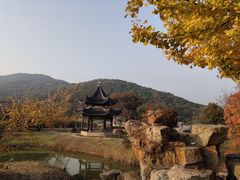 -龙寺生态园