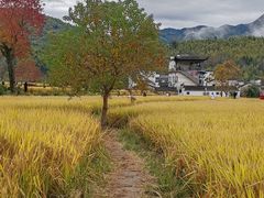 -塔川景区