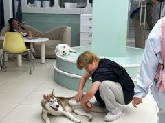 -怪兽屋·羊驼·猫咖·狗咖(俊华广场店)