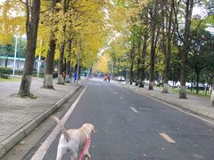 -四川大学(望江校区)