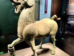 -广西壮族自治区博物馆