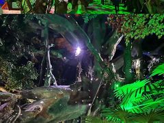 -泉城欧乐堡海洋极地世界