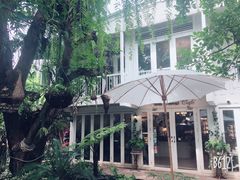 -Fern Forest Cafe