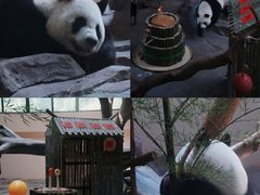 -宁波野生动物园