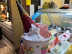 -柠檬车露(卖草地店)