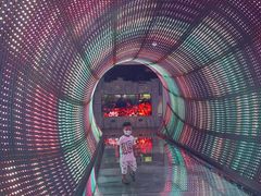 -正佳自然科学博物馆