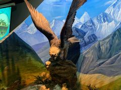 -陕西自然博物馆