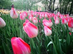 -长春公园(普阳街道)