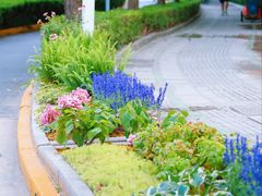 -东怡大酒店(上海科技馆店)