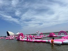 -碧海金沙