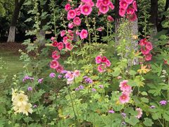 -星巴克(苏州建屋店)