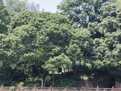 -成都市活水公园