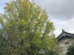 -东京国立博物馆