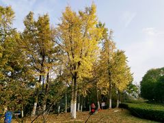 -白塘生态植物园